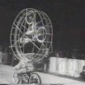 Circus Clown Wheel Stunt