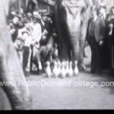 Elephants Bowling