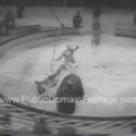 Lama Jumps Over Elephant