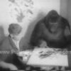 Sophie the Artistic Ape Newsreel