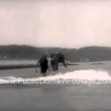 Water Skiing Elephant
