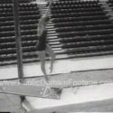 Female High Diver
