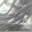 Hiroshima Bombing Aftermath