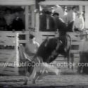 Rodeo Spills